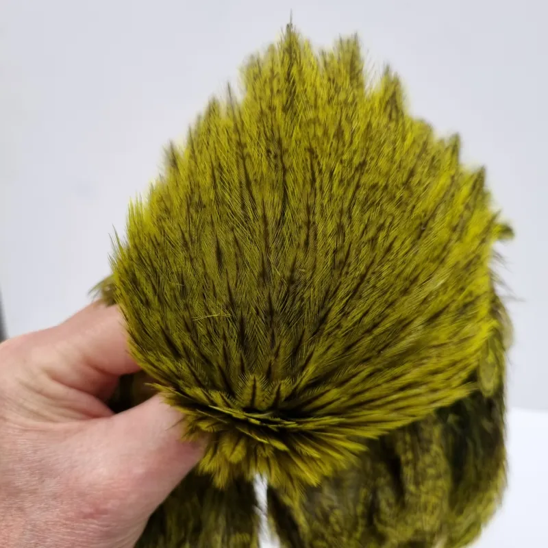 Whiting Coq de Leon Hen Cape in Speckled Fl.Yellow Chartreuse-9